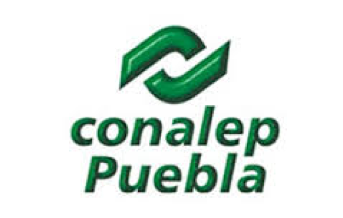 consultoría en Puebla